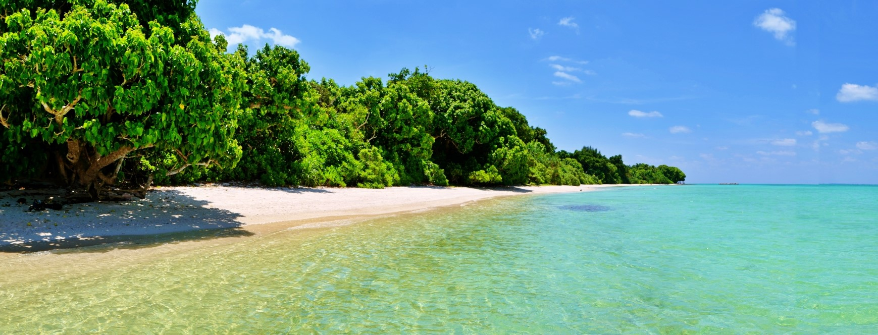 夏海岸風景
