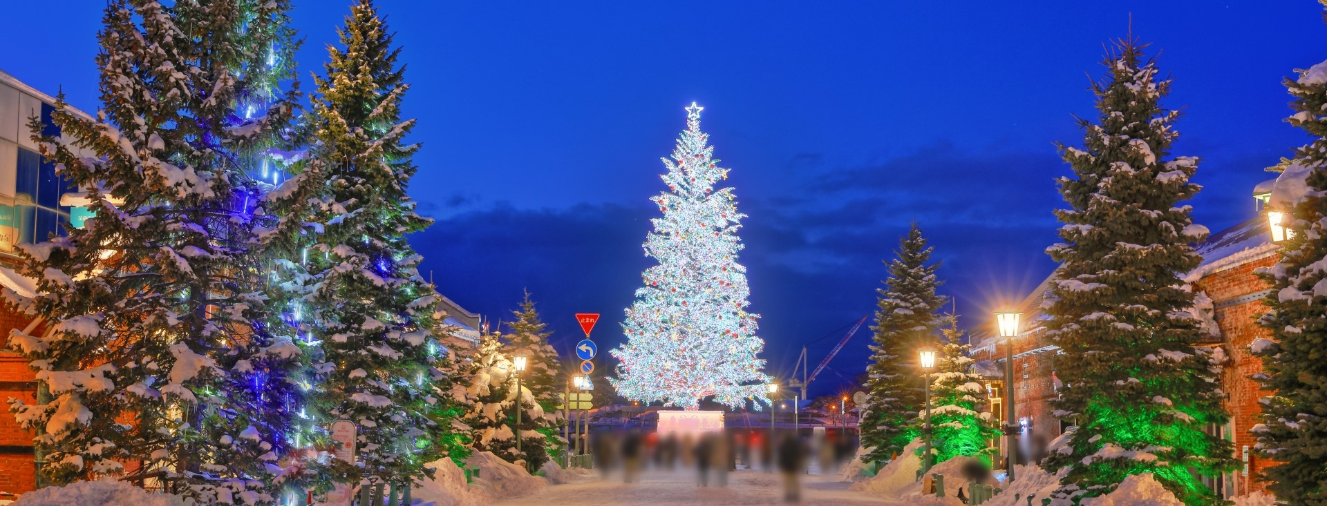 クリスマスツリー