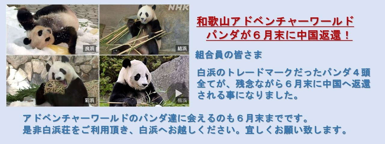 パンダ返還