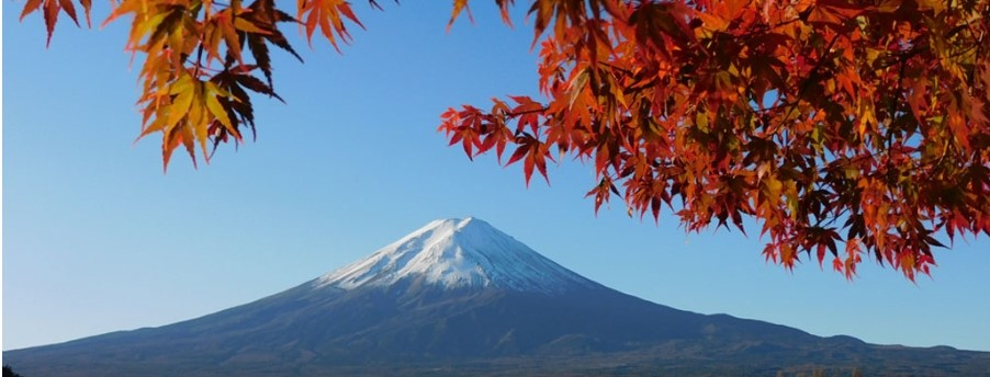 紅葉富士山